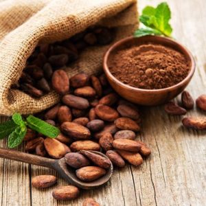 Premium Cocoa Powder